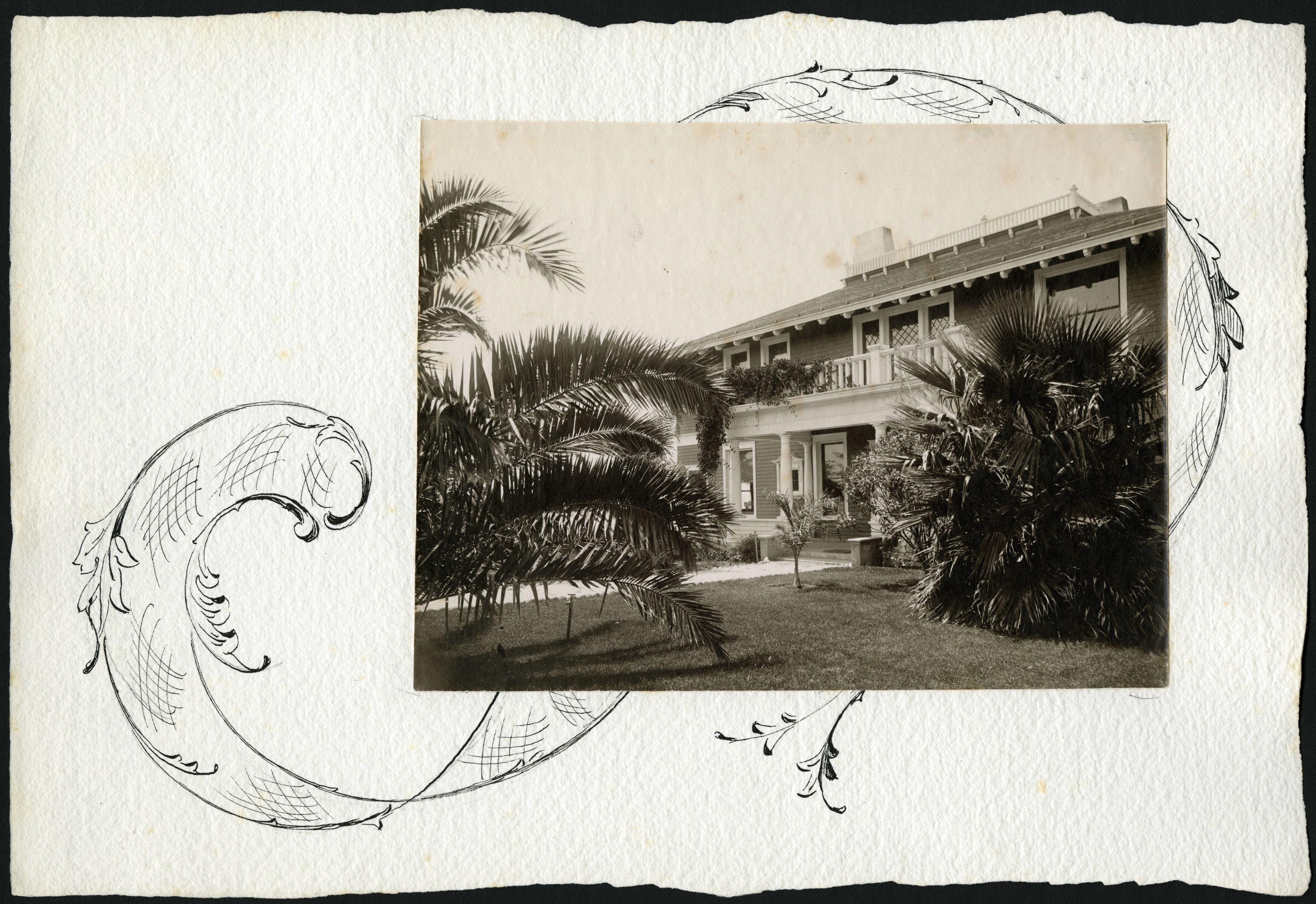 House exterior of South Molton Villa with palm trees.